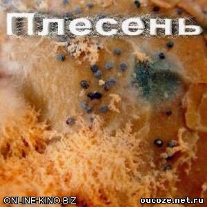 http://oucoze.net.ru/online_kinoteat/skrin_for_MRTCH/1/DOKYMENT/fd0952ce7386c701638c78ee6d9e1568.jpg